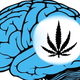 Image for article titled Smart Women Smoke More Weed — It's Science!